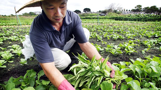 9 Alasan Mengapa Mereka yang Hobi Berkebun Layak Dijadikan Pasangan Idaman