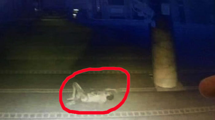 geger-curi-kotak-amal-pocong-jatuh-dari-lantai-2-masjid-kaki-dan-tangan-patah
