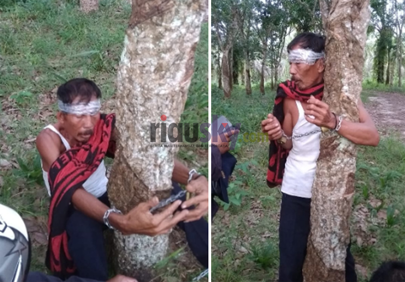dirampok-sopir-colt-diesel-dirantai-di-pohon-karet-tolong-saya-pak-lepaskan-ikatan