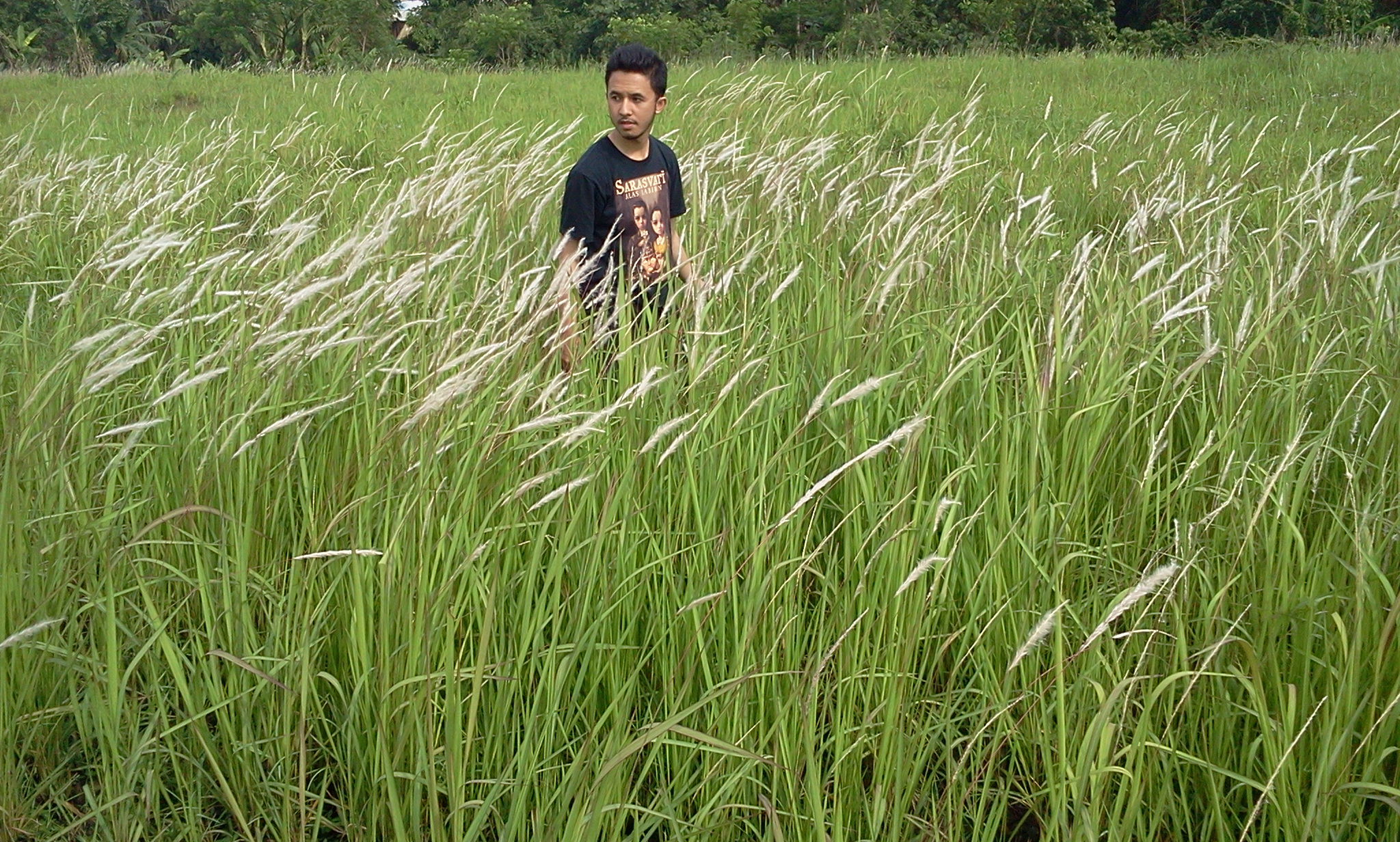 Ditegur Mahluk Halus Karena Tidak Izin Saat Kencing Di Gunung Sumbing