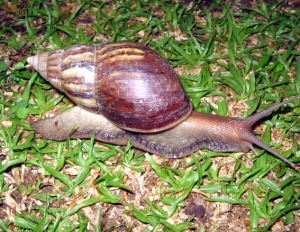 Yuk Share Nama Kecil Agan dan Alasan Diberi Nama Tersebut