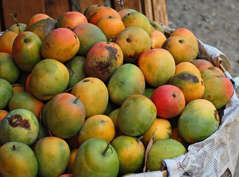 &#91;KASKUSER HARUS TAU!&#93; Mangga Manis GAK CUMA Arumanis! (Awas Ngiler :P)