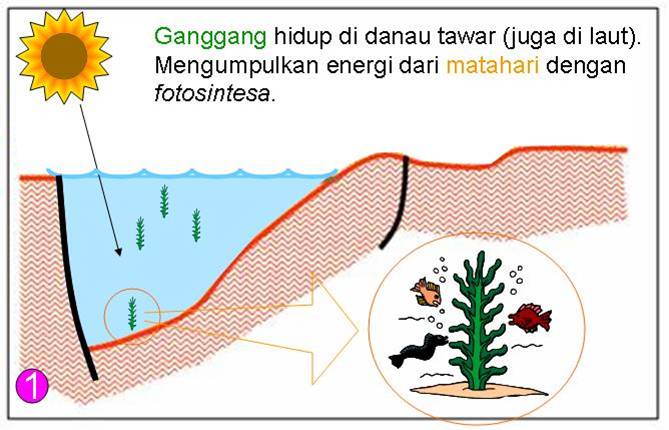 Gimana Sih Minyak dan Gas Bumi Terbentuk? Cekidooot!