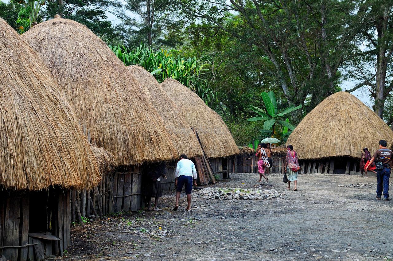 Honai, Rumah Adat Papua Berbentuk Jamur, Tempat Tinggal Khusus Para Pria!