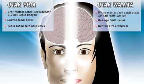 Perbedaan Wanita dan Pria dari Segi Otak