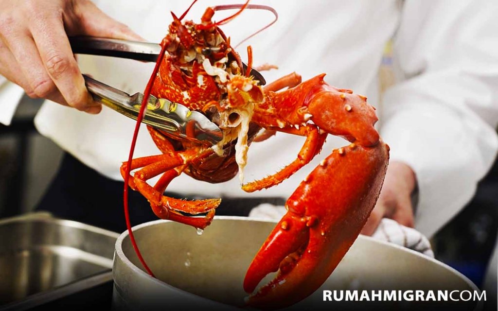 Belajar Cara Mengolah Lobster, Sebagai Bekal Jadi Juru Masak Handal Di Negeri Orang
