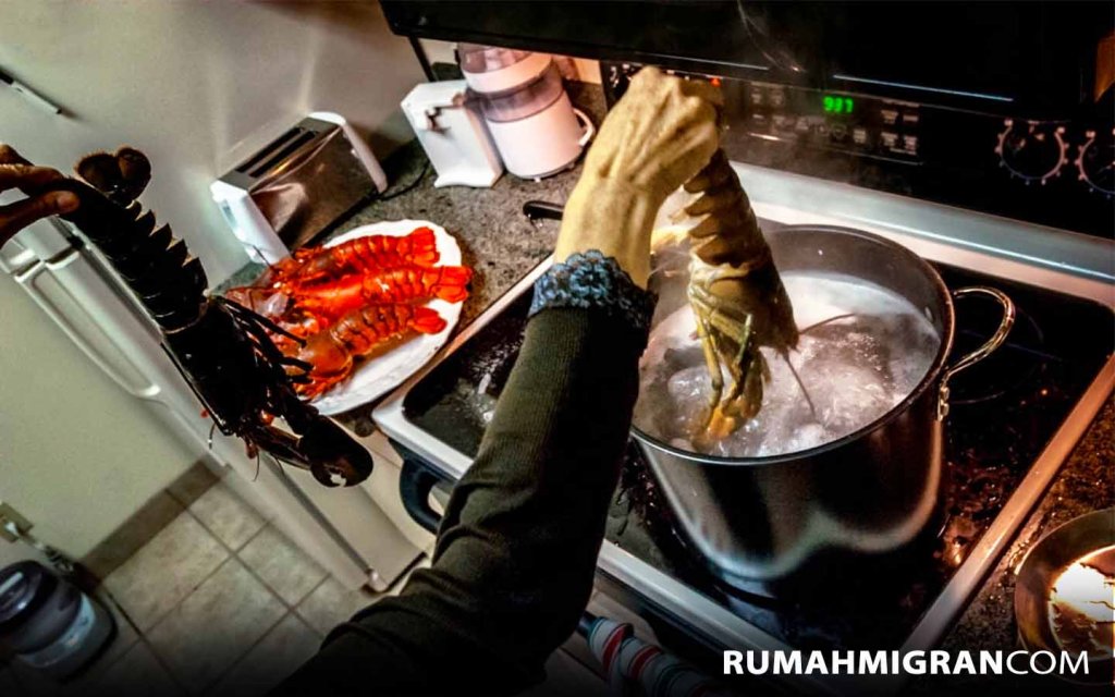 Belajar Cara Mengolah Lobster, Sebagai Bekal Jadi Juru Masak Handal Di Negeri Orang