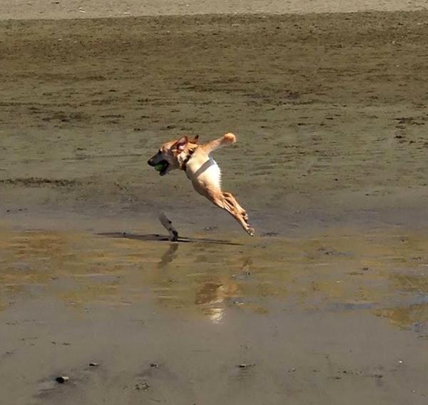 Koleksi Foto Fail Efek Panorama &#91;ANEH+KOCAK&#93;