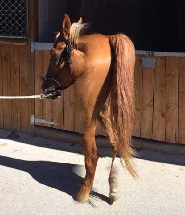 Koleksi Foto Fail Efek Panorama &#91;ANEH+KOCAK&#93;