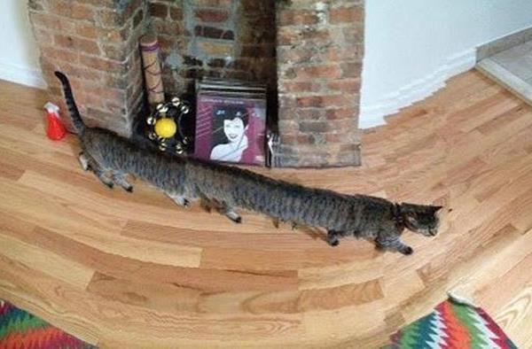 Koleksi Foto Fail Efek Panorama &#91;ANEH+KOCAK&#93;