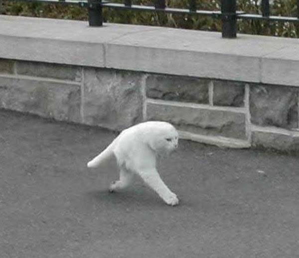 Koleksi Foto Fail Efek Panorama &#91;ANEH+KOCAK&#93;