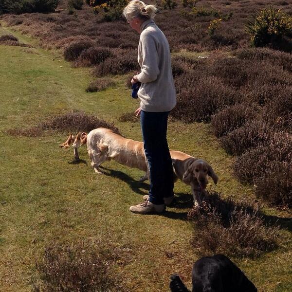 Koleksi Foto Fail Efek Panorama &#91;ANEH+KOCAK&#93;