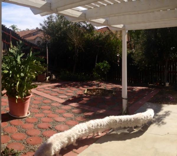 Koleksi Foto Fail Efek Panorama &#91;ANEH+KOCAK&#93;