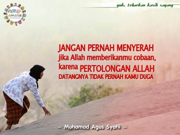 Lentera Kehidupan Manusia, Kegelisahan dan Cara Islam Mengatasinya (NO SARA)!!!