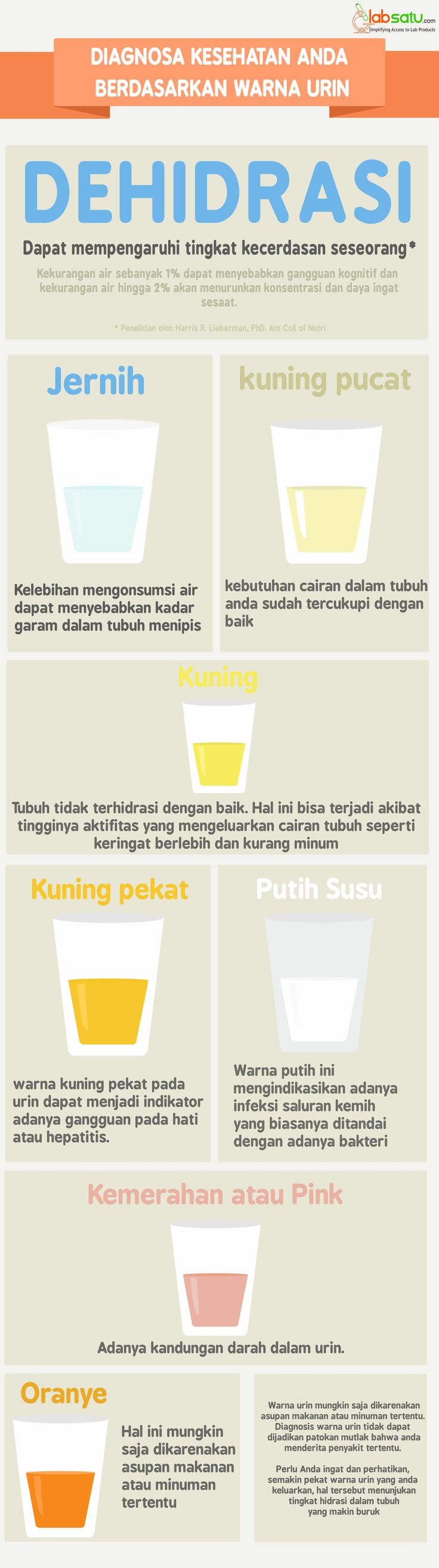 Diagnosa Kesehatan Anda Berdasarkan Warna Urin