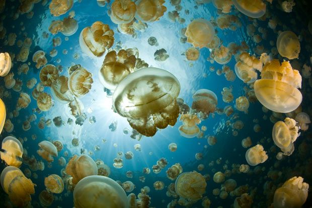 8 Danau Unik Ini Terhampar Indah Sekaligus Menyeramkan