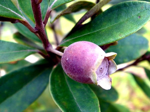 full-foto-kalau-thread-ini-bikin-ente-senyum-simpul-ente-berarti-sudah-tua