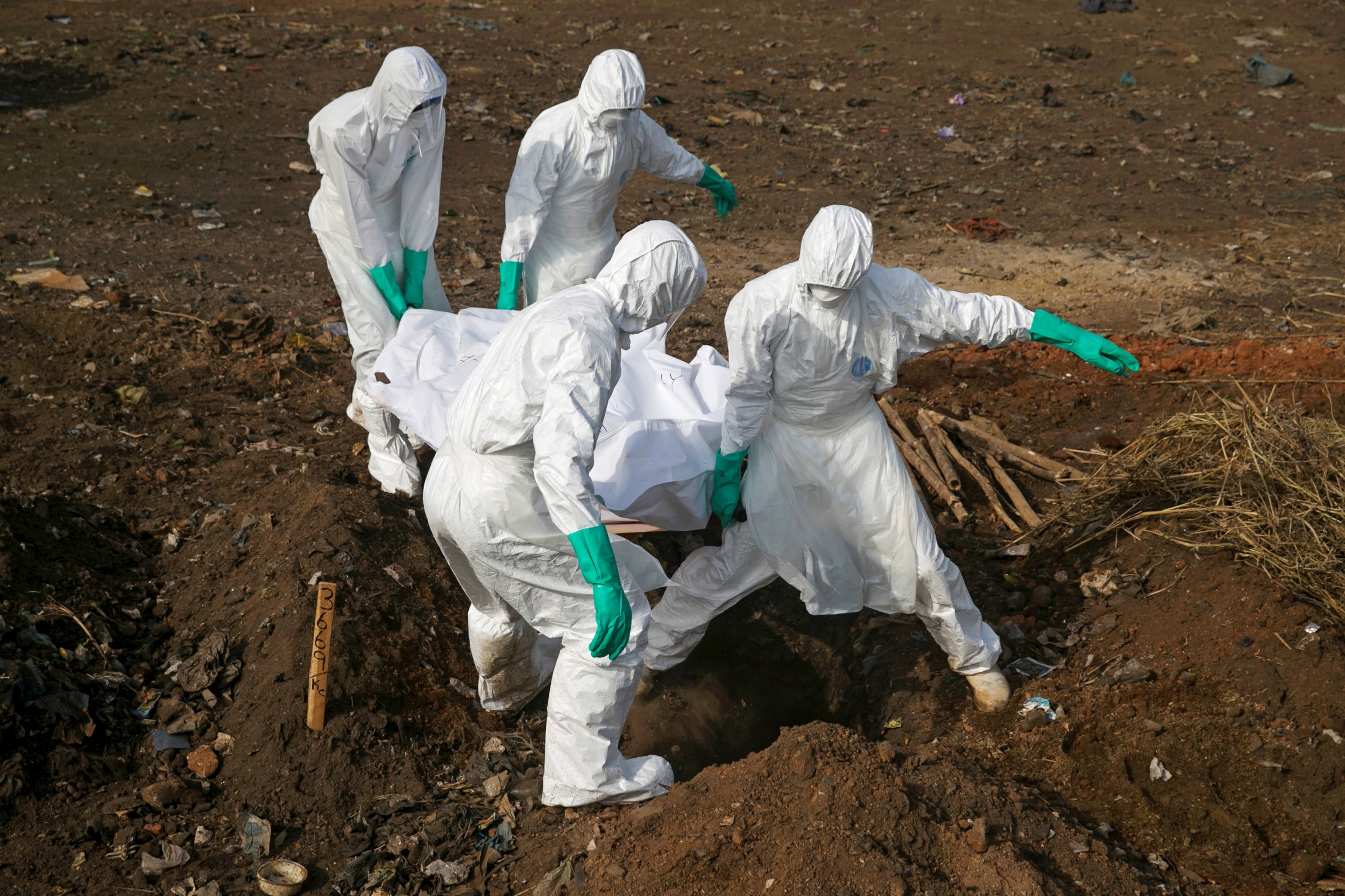 Waspada! Ini Dia 7 Virus Paling Mematikan di Dunia