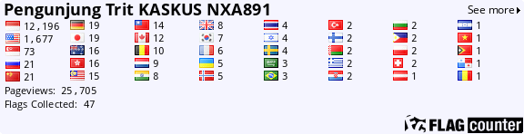 Nexian NX-A891