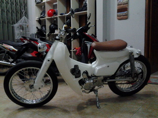 WTS : Street Cub Astrea 800