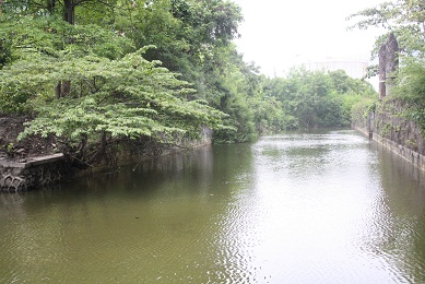 Indahnya Wisata Di Kota Cilacap