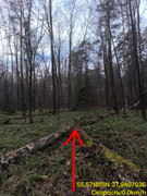 avatar-forum-blackberry-corner