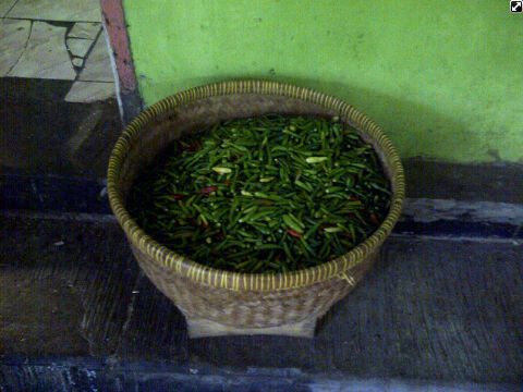 Hot nya Sop Janda Cibitung (Masuk Yang Doyan Pedes)