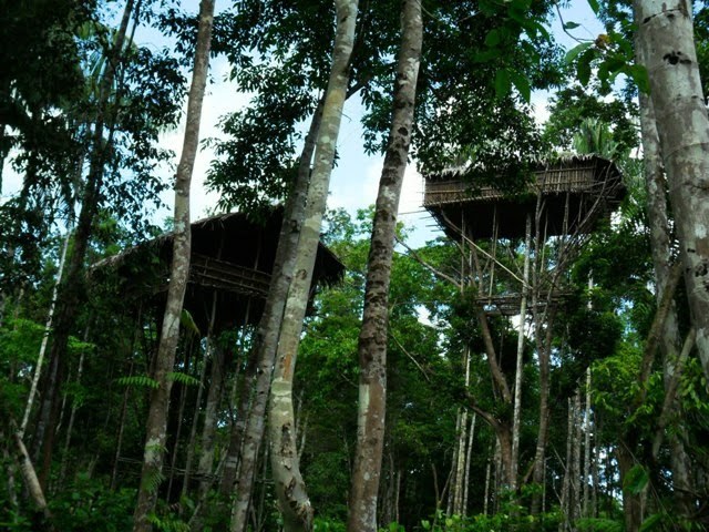 Desa Dan Kehidupan Suku Korowai dan Kombai