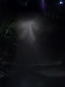 komparasi-lampu-halogen-motor