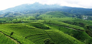 KARANGNYAR Surga di lereng Gunung Lawu 
