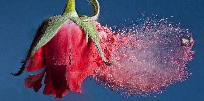 15 Mengesankan Contoh Of Sailer Kecepatan Tinggi Fotografi &#91;pict&#93;