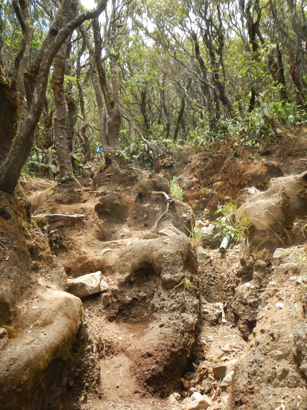 catper-ketika-pekerja-kantoran-mendaki-gunung-gede-26--28-september-2014