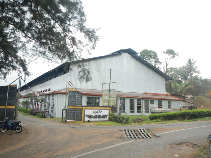 catper-sekali-ke-pagaralam-gunung-dempo--merapi-dan-cughup--cughupnya-terlampaui