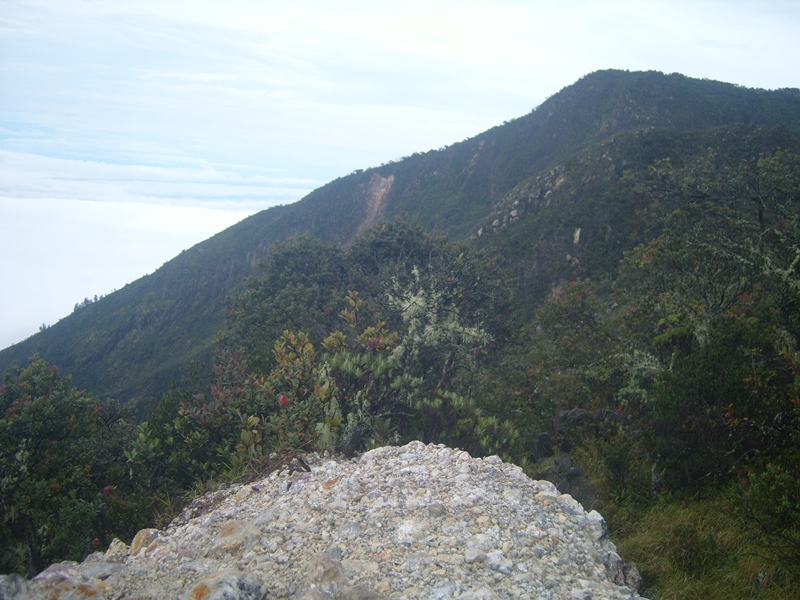 &#91;CatPer&#93; Share Cerita Pertama Kalinya Mendaki : Gunung Lawu Januari 2011