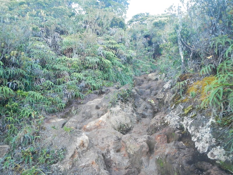 &#91;CatPer&#93; Sekali ke Pagaralam, Gunung Dempo – Merapi dan Cughup – cughupnya Terlampaui