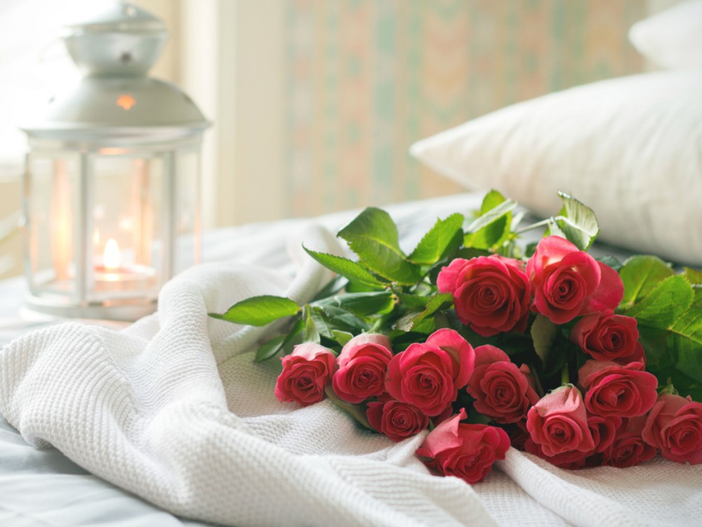 Hari Valentine, Ini 7 Bunga Yang Wajib Kamu Beri ke Pasangan