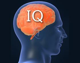 Mengenal IQ, SQ, dan EQ