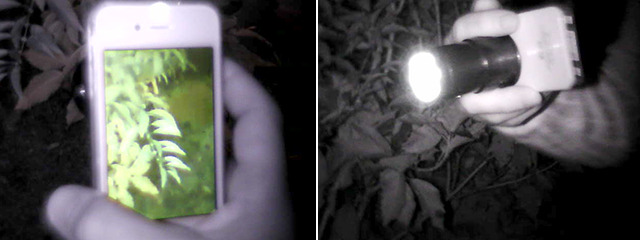 &#91;snooperscope&#93; apakah lensa ini bisa untuk Berburu hantu???