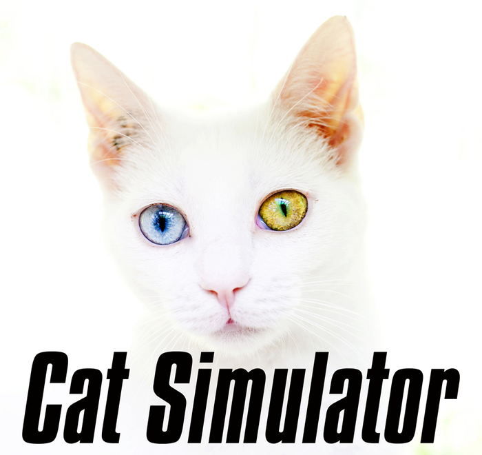 cat-simulator