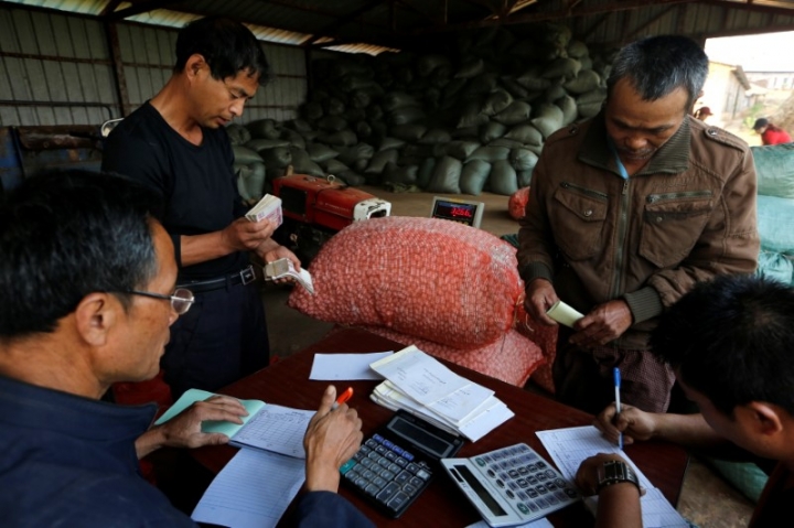 Petani Myanmar Beralih dari Budidaya Bunga Poppy ke Ternak Ulat Sutra