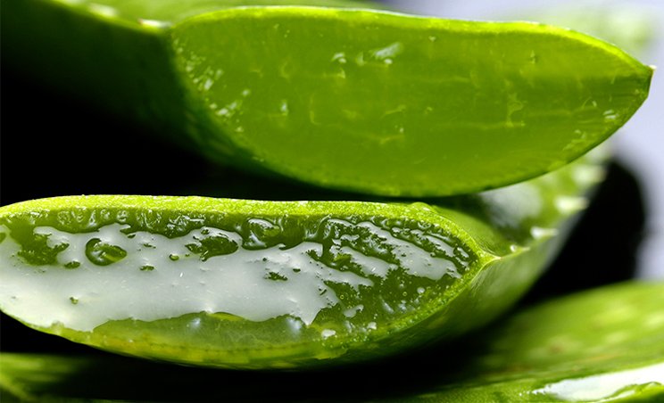 9 Cara Menghilangkan Ketombe yang Ampuh Menggunakan Bahan Alami