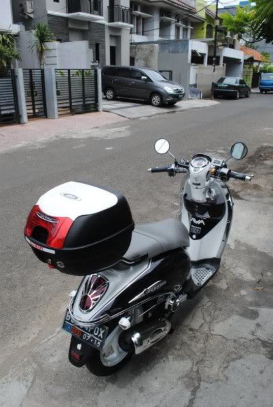 share-infooctopushonda-scoopy-kaskus----reborn-new