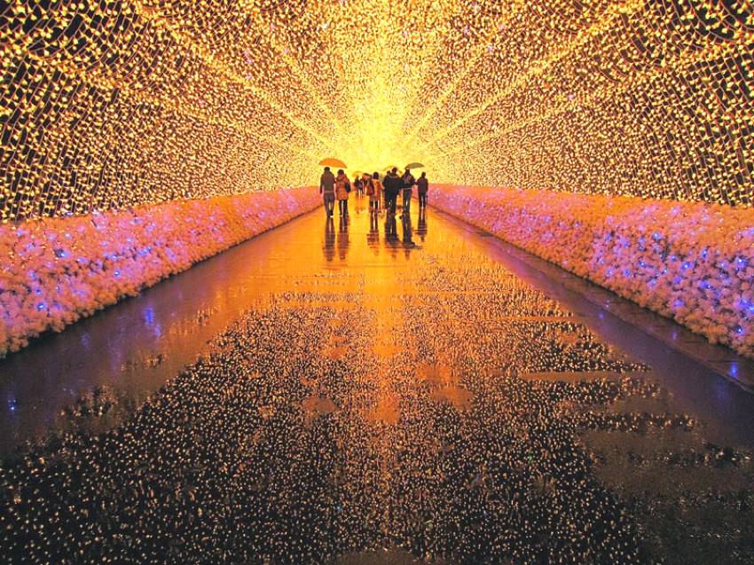 Festival Cahaya Musim Dingin di Jepang