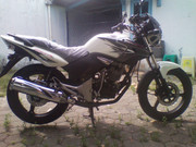BRAND NEW!!! HONDA TIGER CW!!! CIREBON