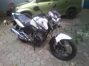 BRAND NEW!!! HONDA TIGER CW!!! CIREBON