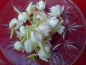 Bahasa Simbol (Makna Bunga) dalam falsafah jawa