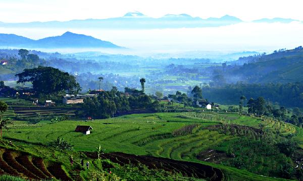 Pantaskah Pujian-Pujian Berikut Dinobatkan Untuk Indonesia? Silahkan Direnungkan!