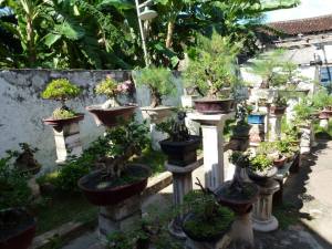 Tionghoa Muslim di Sumenep, Madura
