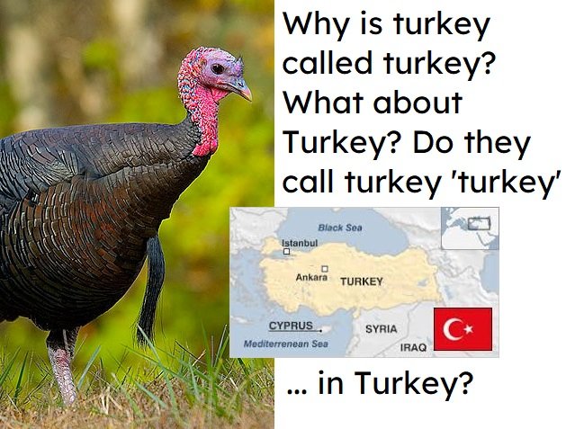 Cerita Turki Ganti Nama Negara,Gegara Turkey (Ayam Kalkun)