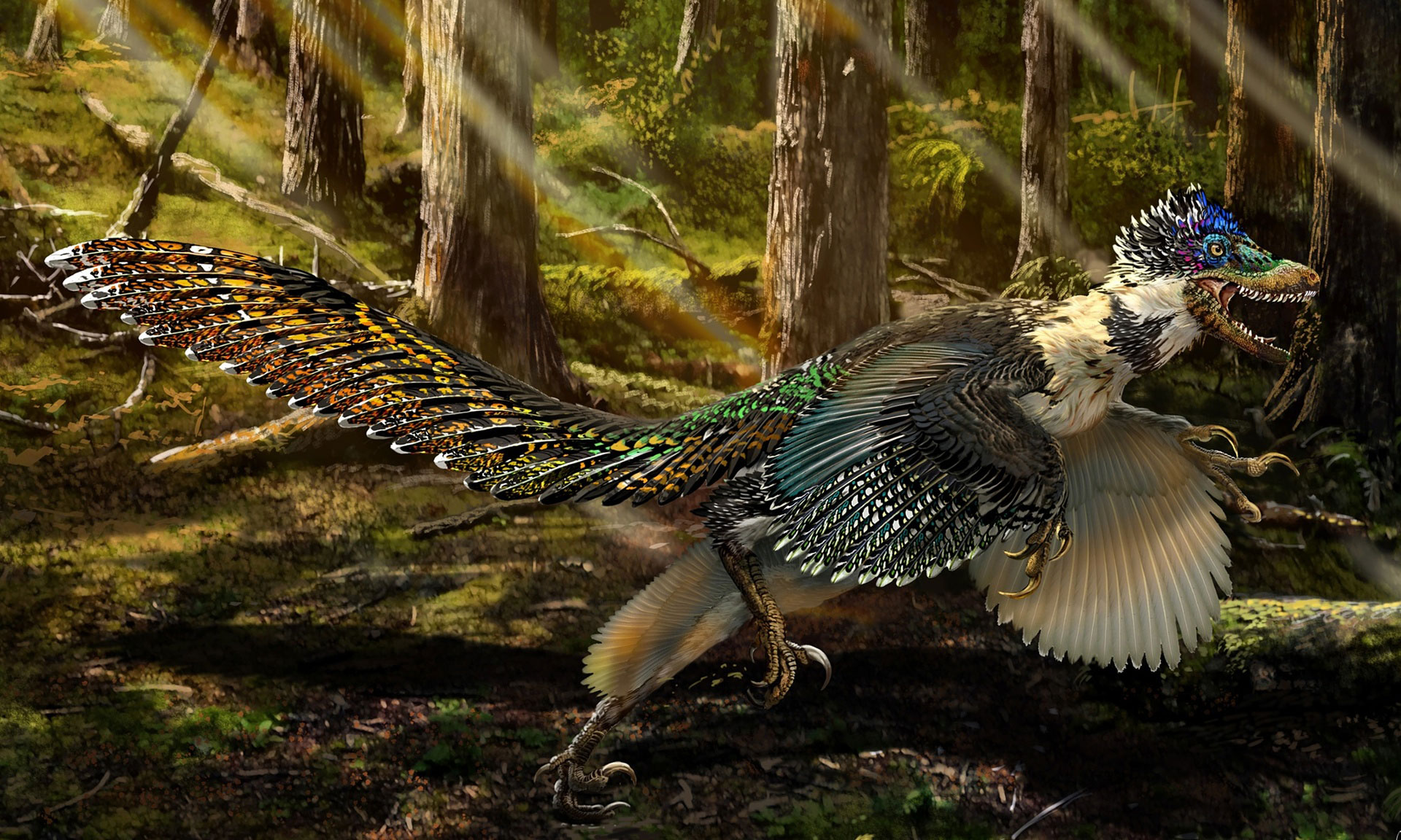 Sudahkah Agan Tahu Penemuan Spesies Dinosaurus Terbaru Ini ?
